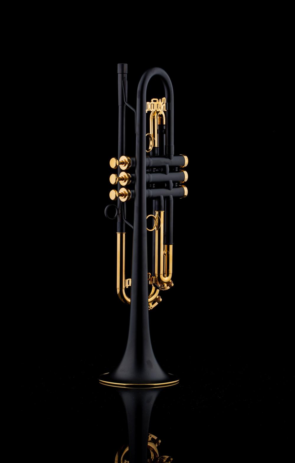 Schagerl Signature B-Trompete Timmy Trumpet bei schagerl.com kaufen